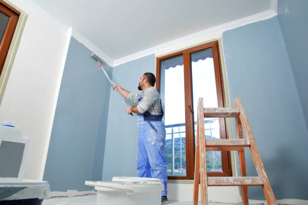 Environmental Consulting for Mold Prevention in Warroad, MN