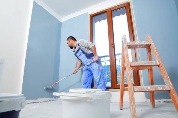 Best Mold Prevention Services  in Warroad, MN