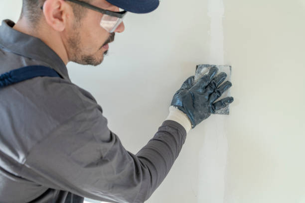 Trusted Warroad, MN Mold Removal Experts