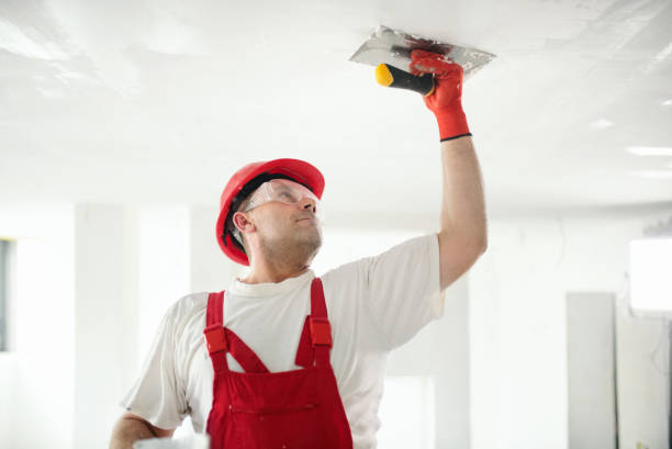 Best Mold Removal for HVAC Installations  in Warroad, MN