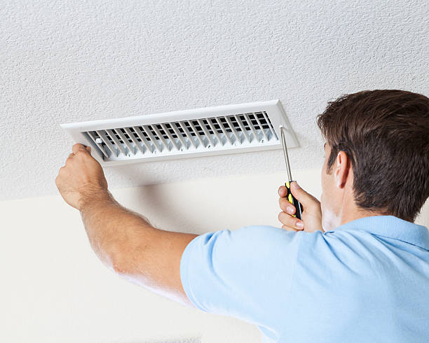 Best Crawl Space Mold Remediation  in Warroad, MN