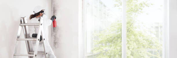 Dehumidification Services in Warroad, MN