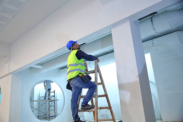 Best Mold Documentation for Insurance Claims  in Warroad, MN